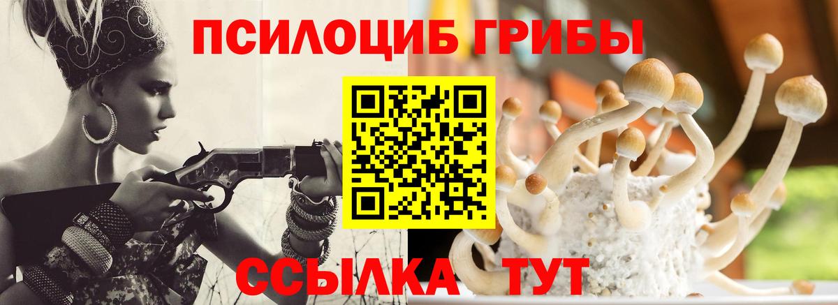 продажа наркотиков  Псилоцибиновые грибы прущие грибы  Вход с VPN  Урус-Мартан 